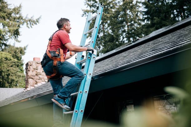 Best Solar Panel Roofing Installation  in Lake Brownwood, TX