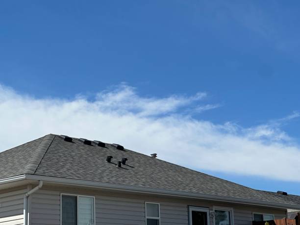 Best Asphalt Shingle Roofing  in Lake Brownwood, TX